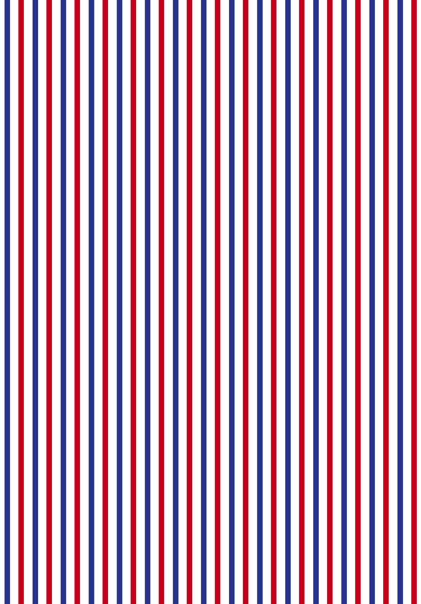 Stripe Pattern Print Vector