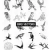 Bird Vector Illustration Pack