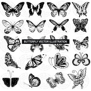 Butterflies Vector Illustration | Elegant Insect Clipart & Editable Design Elements